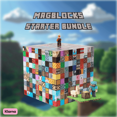 MagBlocks Starter Bundle *Limited Time Only* - 200 Blocks and Character Set - MagBlocks